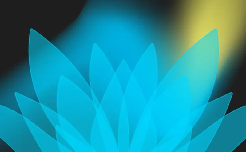 Post Featured Image